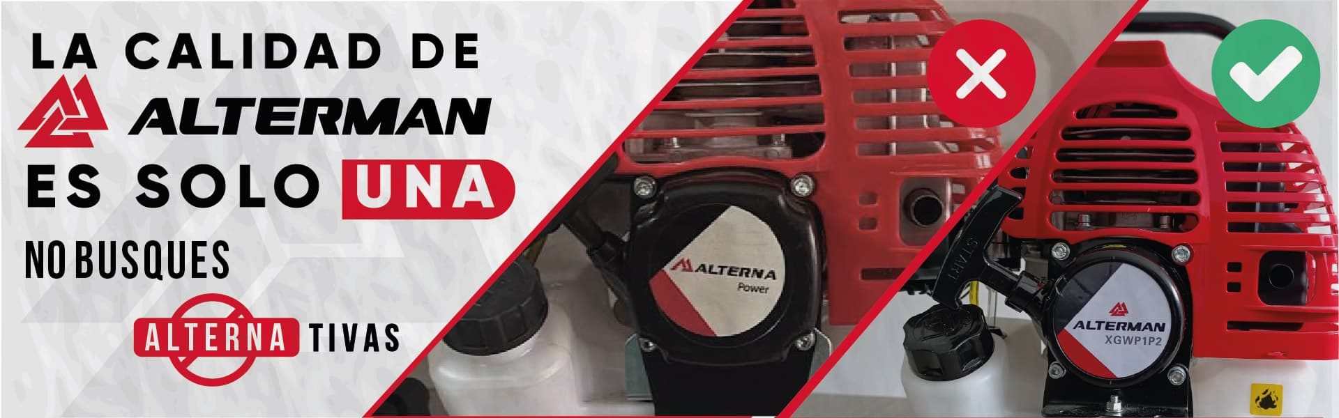 Banner Alterman-01-01